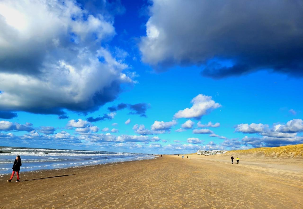 Zilvermeeuw Bergen aan Zee Exterior foto