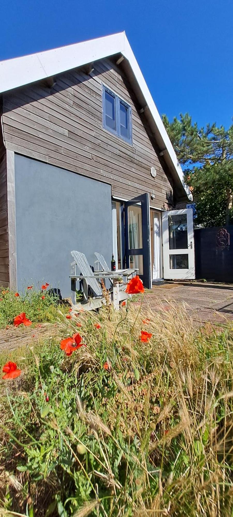 Zilvermeeuw Villa Bergen aan Zee Exterior foto